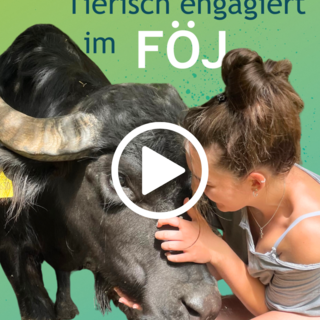 Kein Titel Instagram Post 5